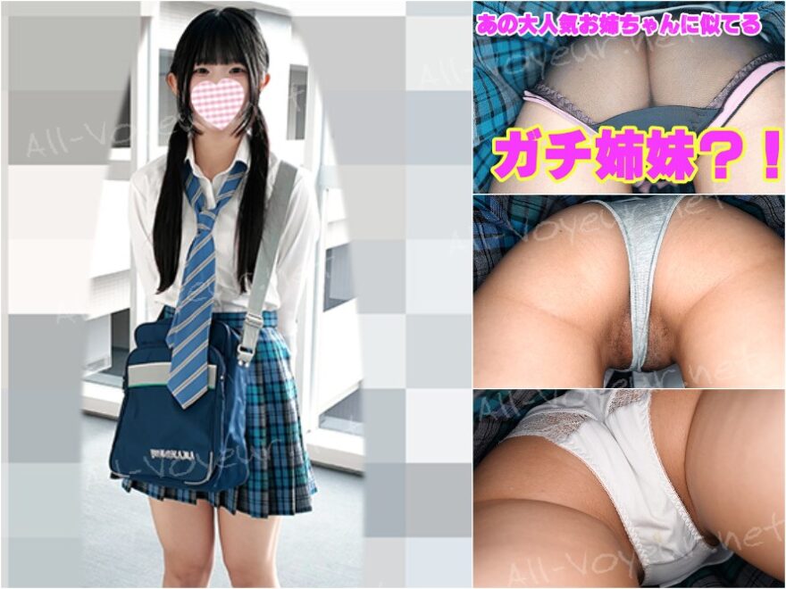 あの一番人気のお姉ちゃんのガチ姉妹の末っ子?!炉顔で可愛い元気な細身美少女のぎりハッピーパンチラ。エレベーター盗撮