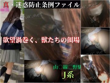 【○野駅K】ア○横の路地裏蠢く、性の坩堝。