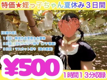 【特価★姪っ子ちゃん夏休み3日間】大好きなフルーツ狩り満喫〜車内悪戯・四つん這いでもイキまくり〜 【特価★姪っ子ちゃん夏休み3日間】大好きなフルーツ狩り満喫〜車内悪戯・四つん這いでもイキまくり〜